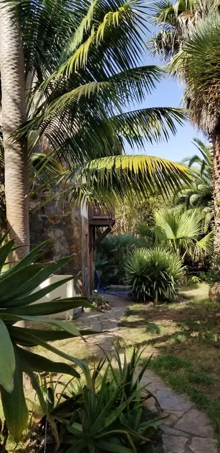 イコー・デ・ロス・ビノスLa Casita De La Vegaアパートメント スペイン