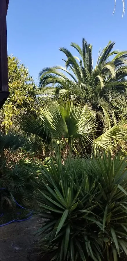 アパート イコー・デ・ロス・ビノスLa Casita De La Vegaアパートメント