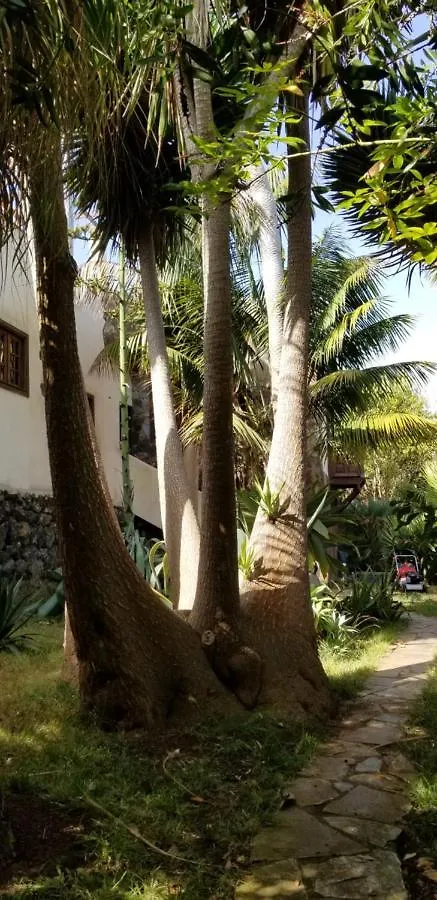 La Casita De La Vega Apartment Icod De Los Vinos 0*,